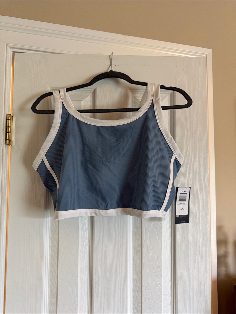 NWT torrid Blue & White Sports Bra